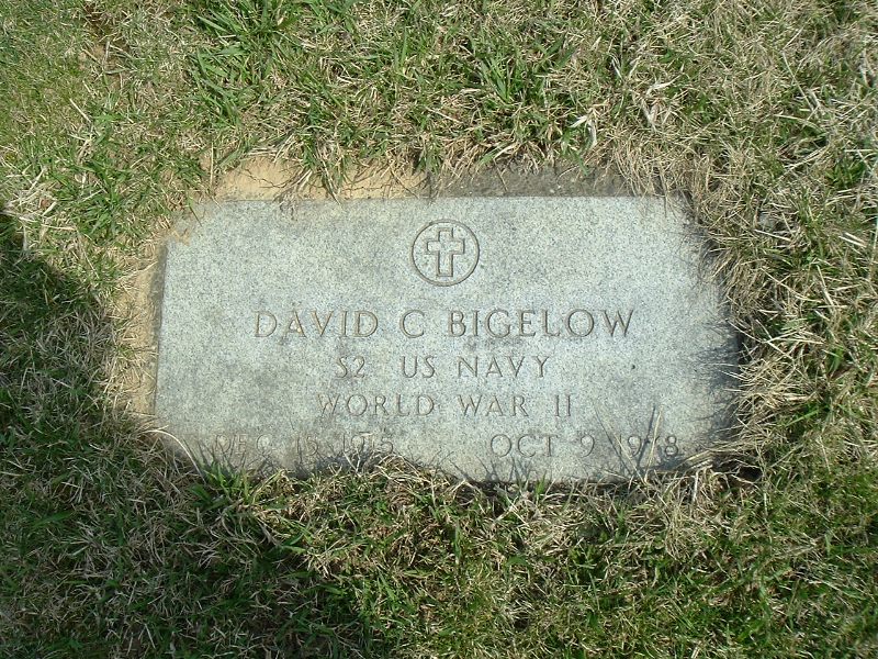 David C 11