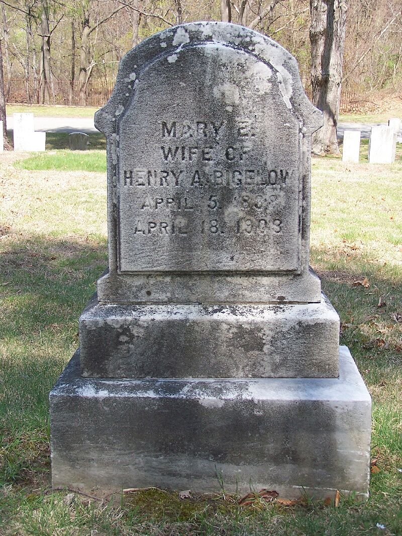Mary Wilson grave