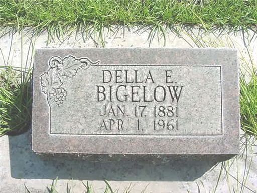 delia t