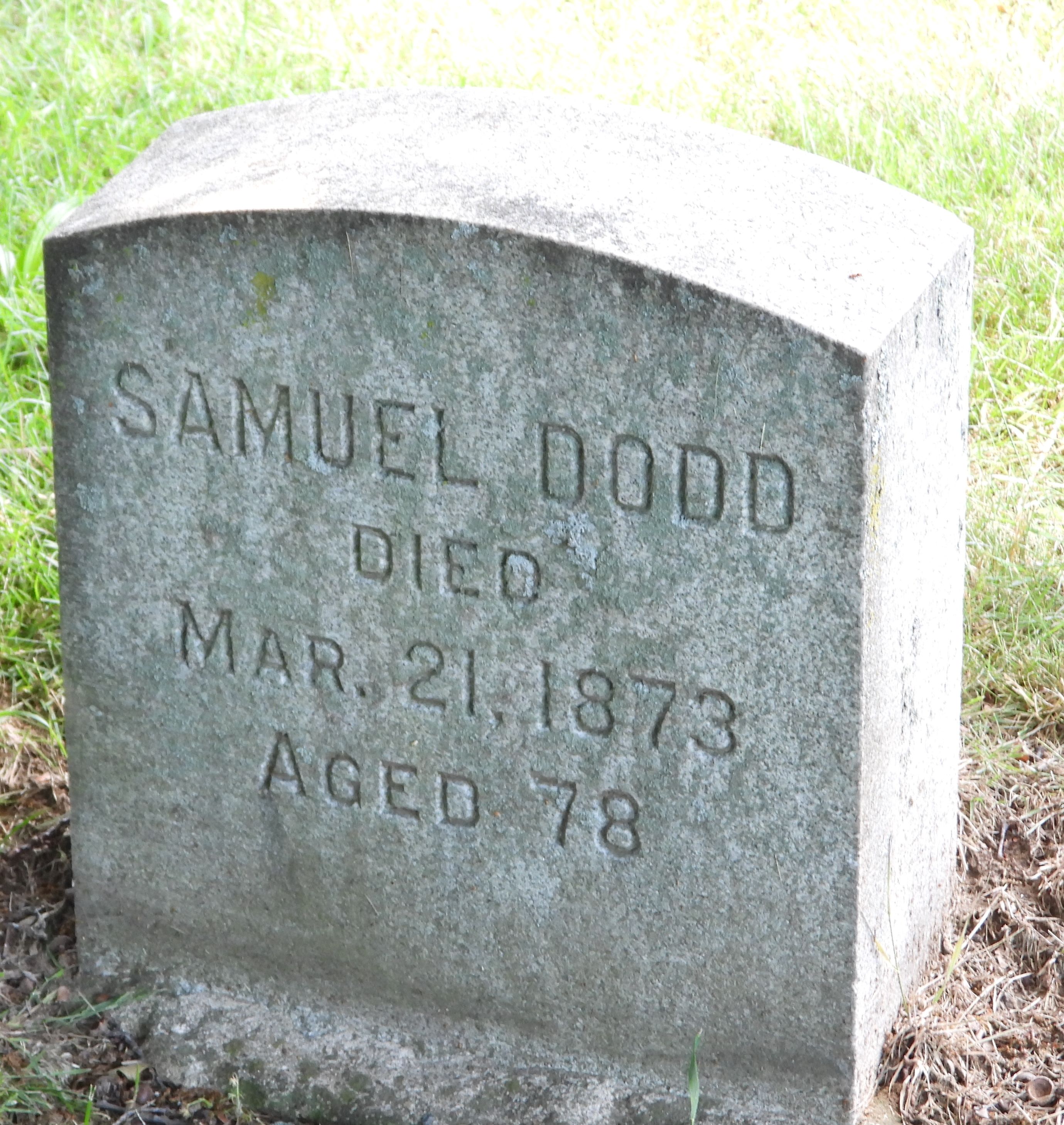 Sam
      Dodd