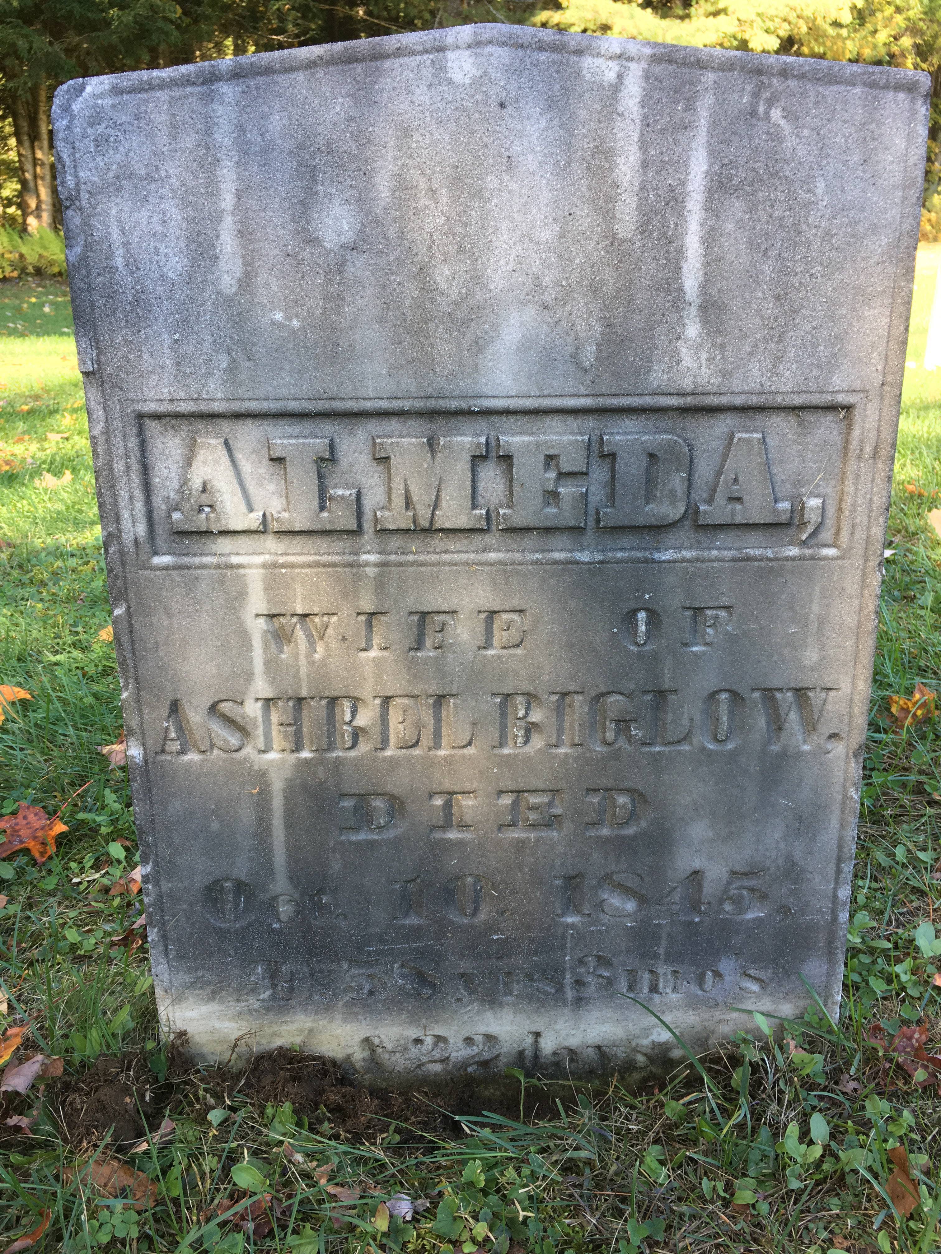 almeda memorial