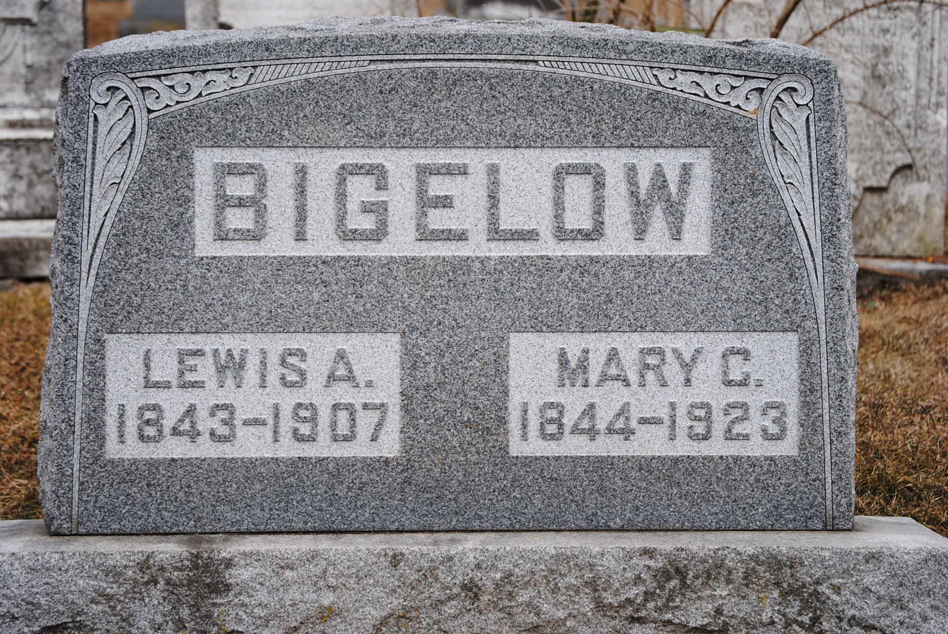 lewis
        mary mem