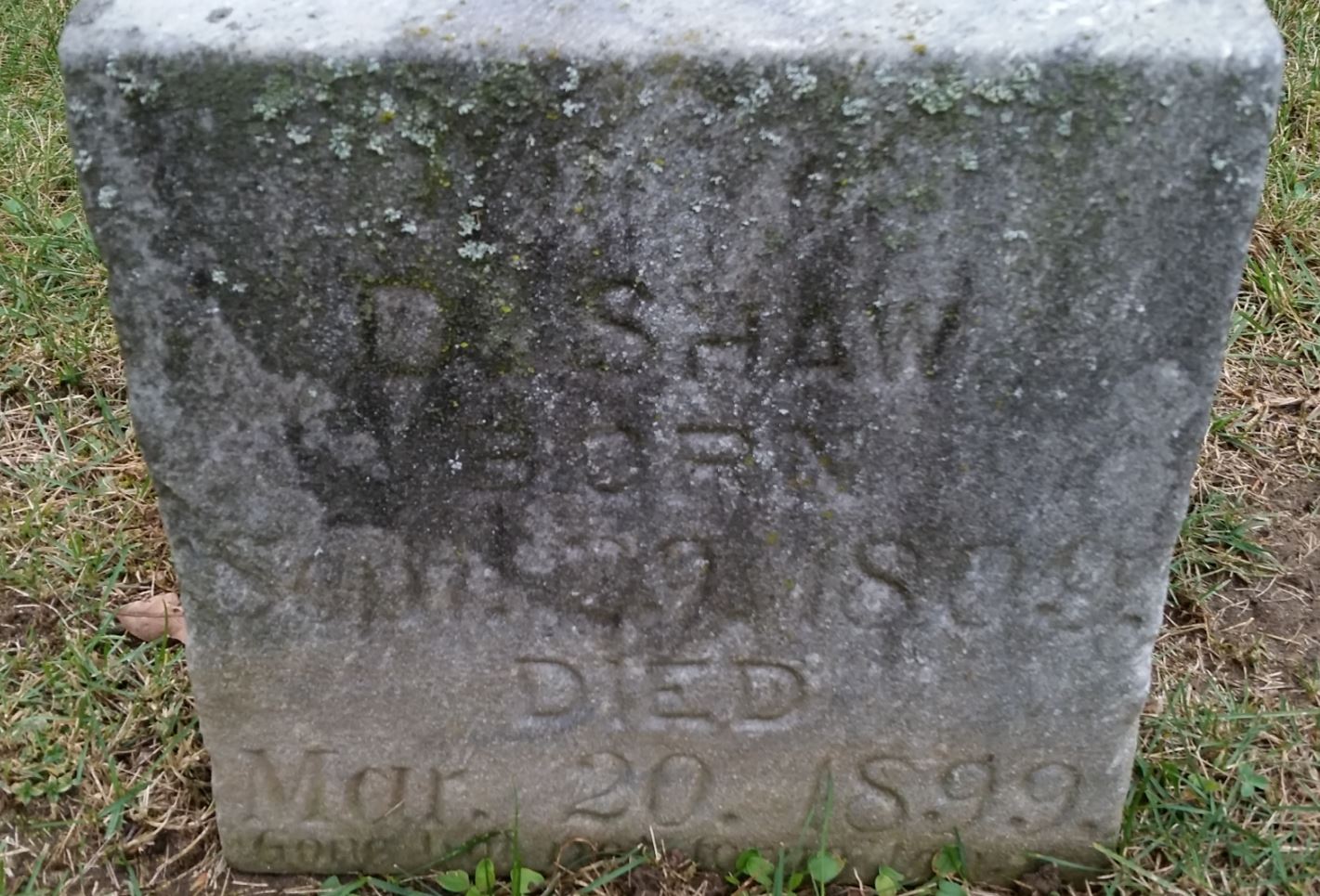 sara
        shaw