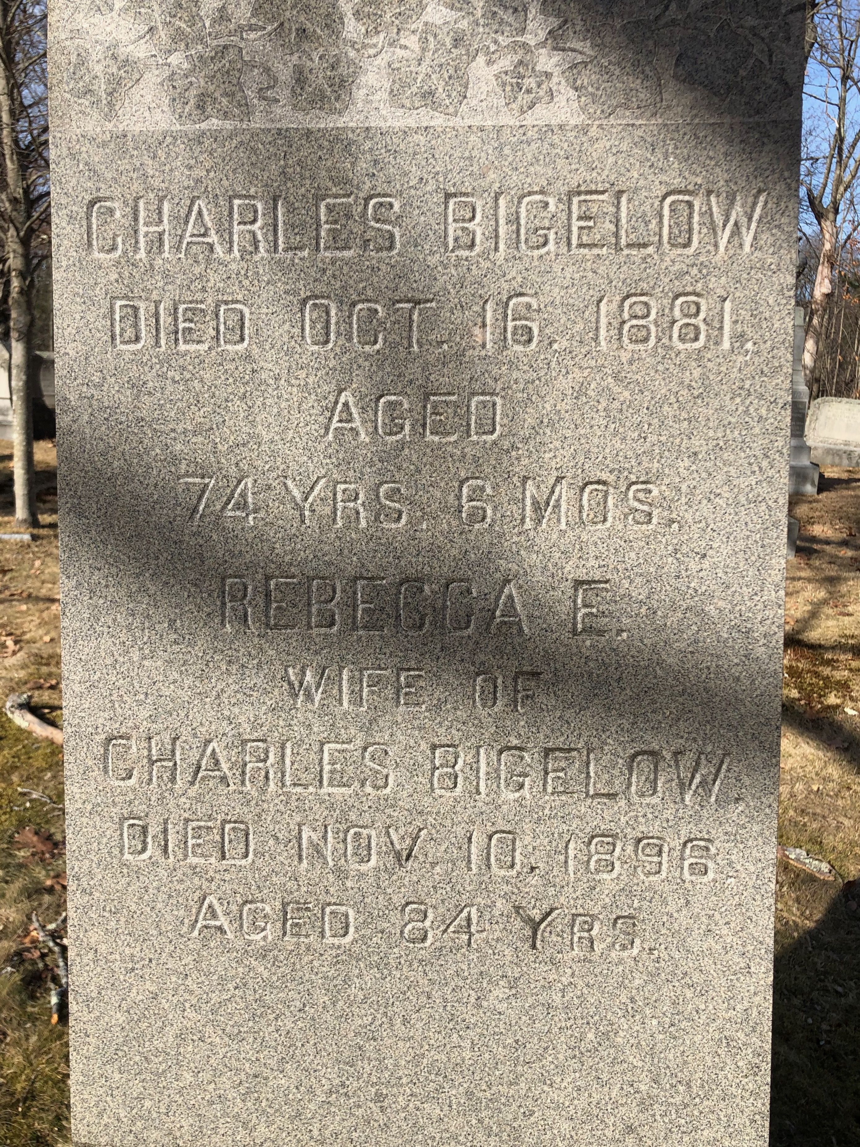 charles 1881