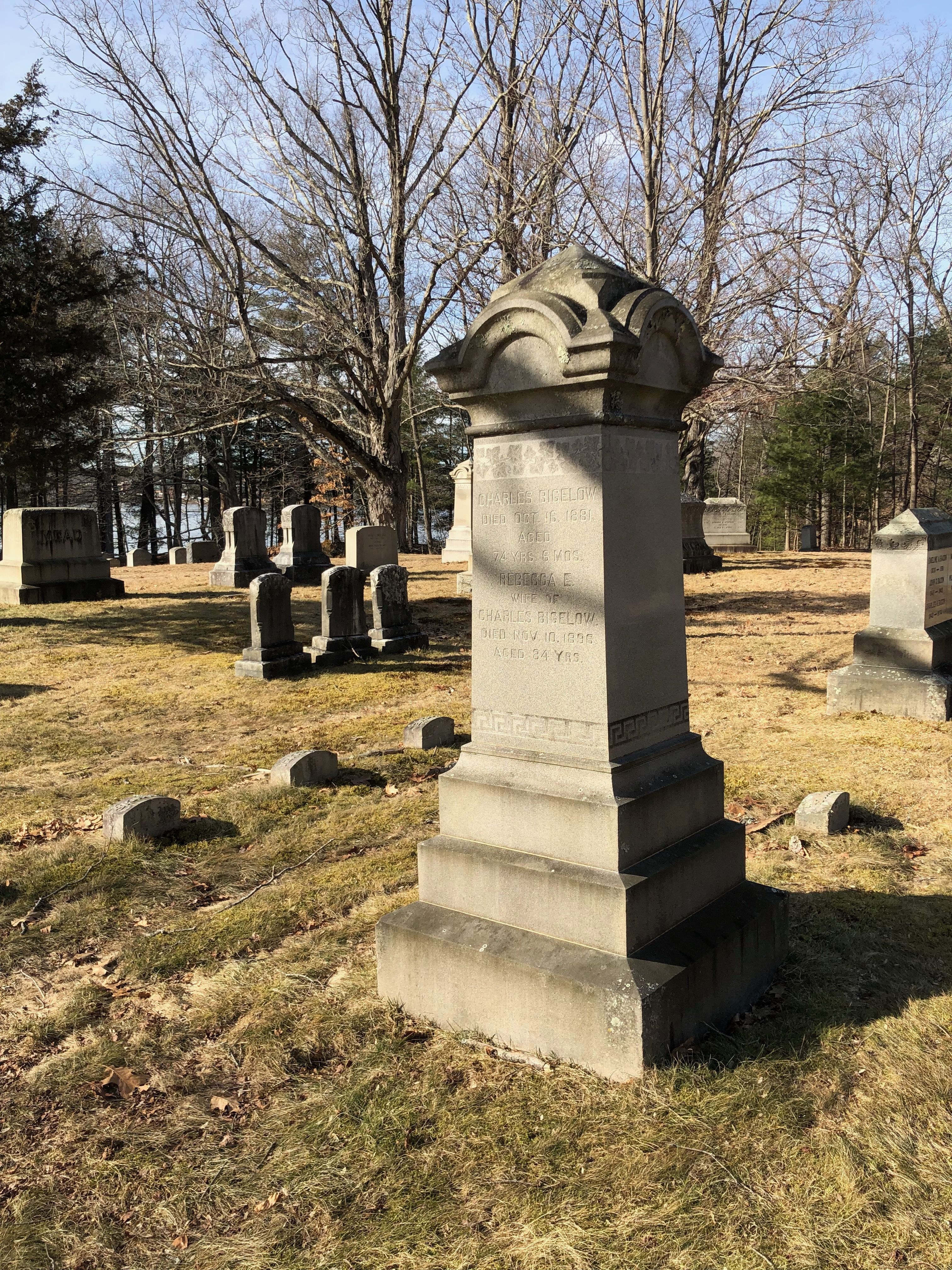 dell cem