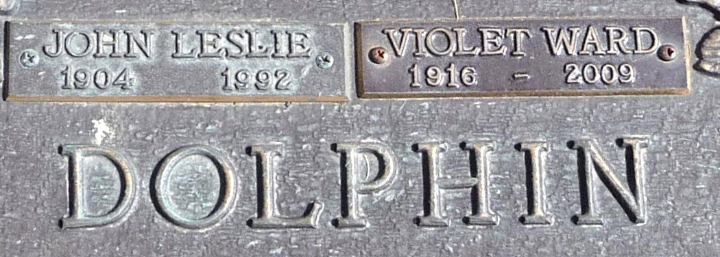 dolphin