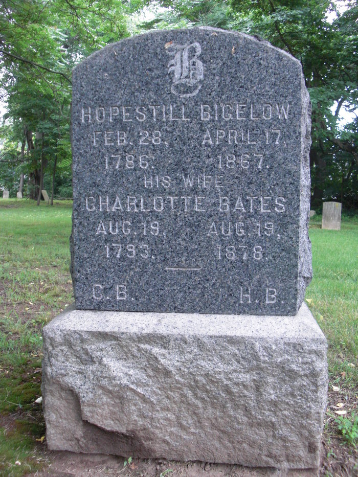 hopestill 1867