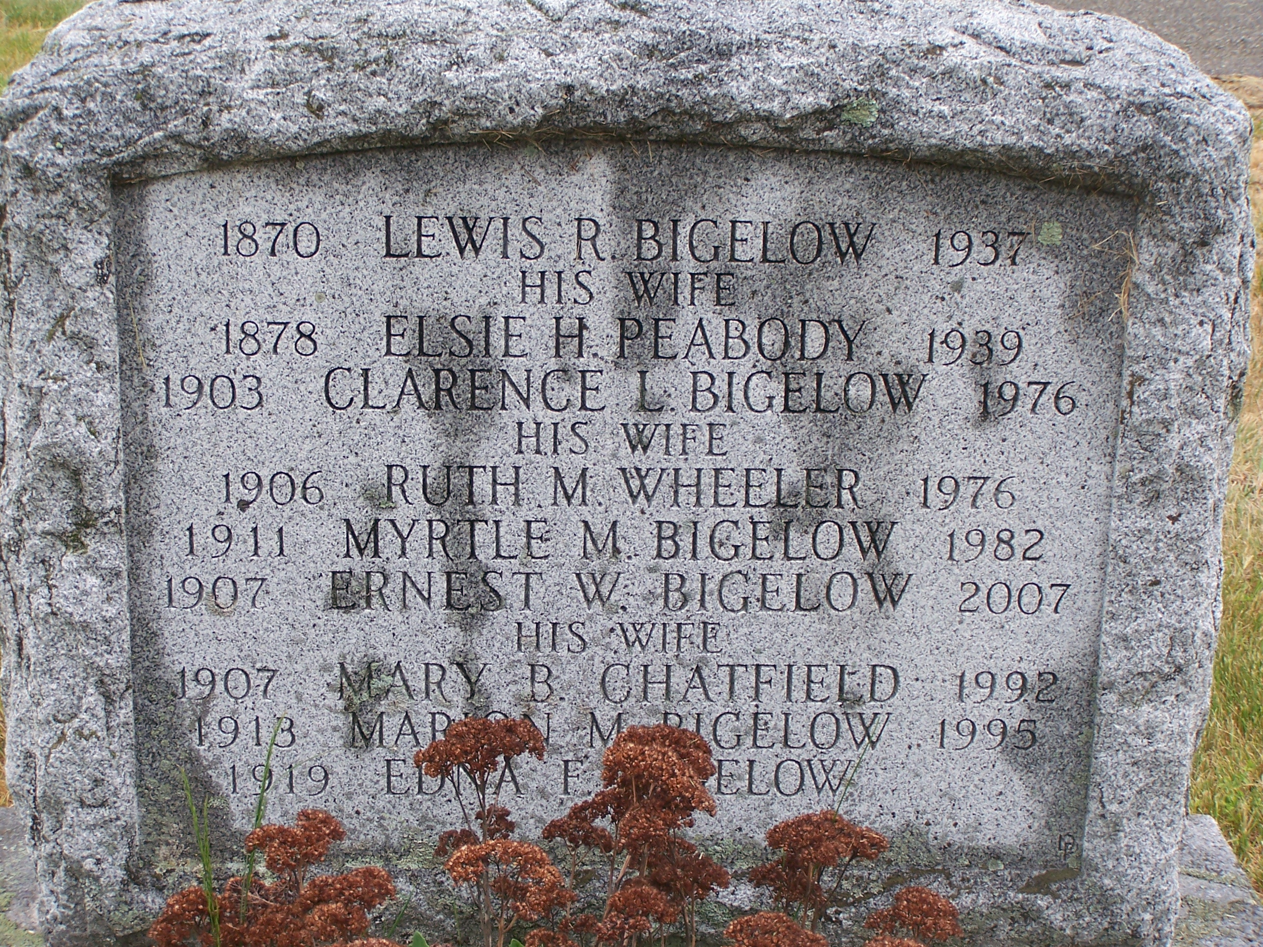 lewelsy